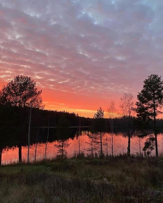 Villa Tuikkula Sotkamo Exteriör bild